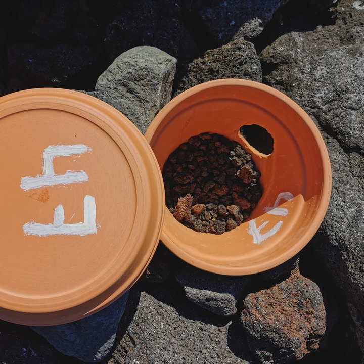 Installation of artificial nests for seabirds on Graciosa