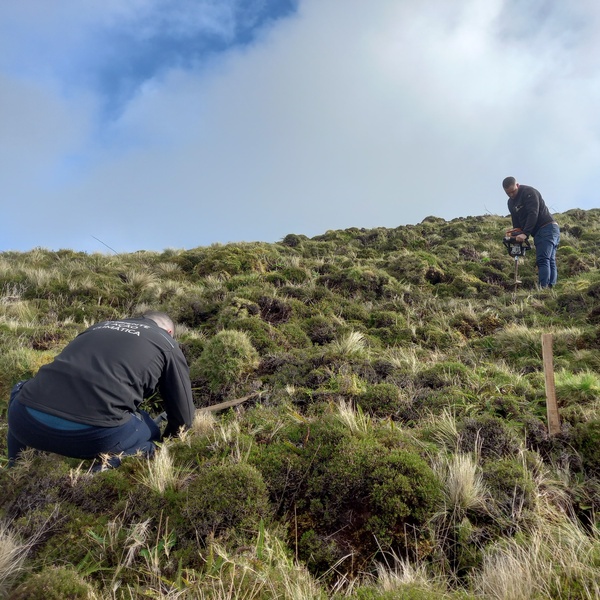 Population reinforcement contributed to improving the conservation status of protected species