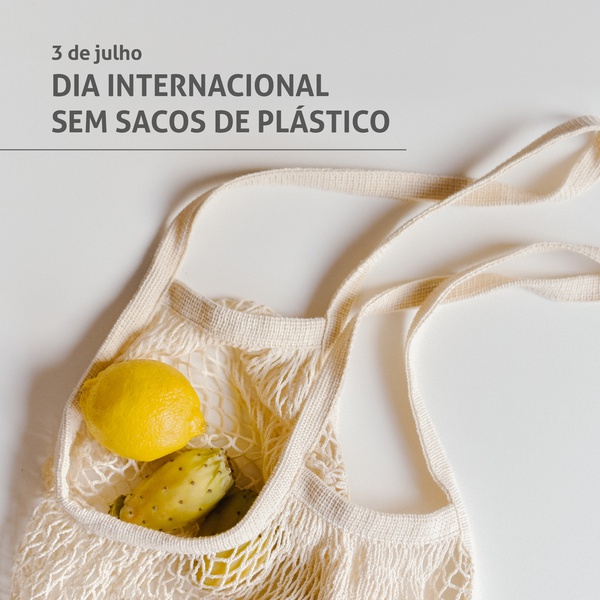 Dia Internacional Sem Sacos de Plástico