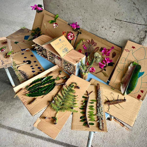Workshop to build insect hotels helps promote biodiversity on school grounds