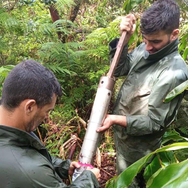 LIFE IP CLIMAZ inicia trabalhos de campo no âmbito do cálculo do carbono orgânico em solos florestais