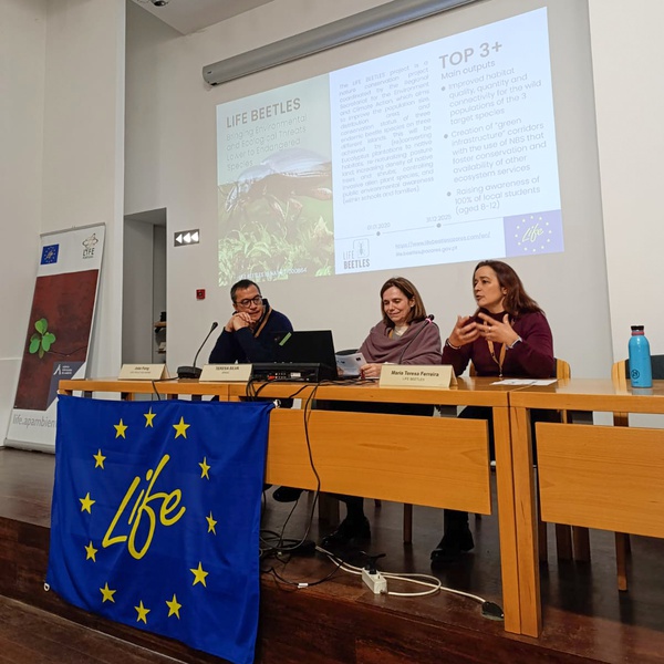 Projeto LIFE BEETLES participa no INTER LIFE PT 2025