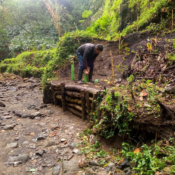 As part of LIFE IP CLIMAZ, DRAAC is recovering, restoring, and stabilising the banks of streams on São Miguel