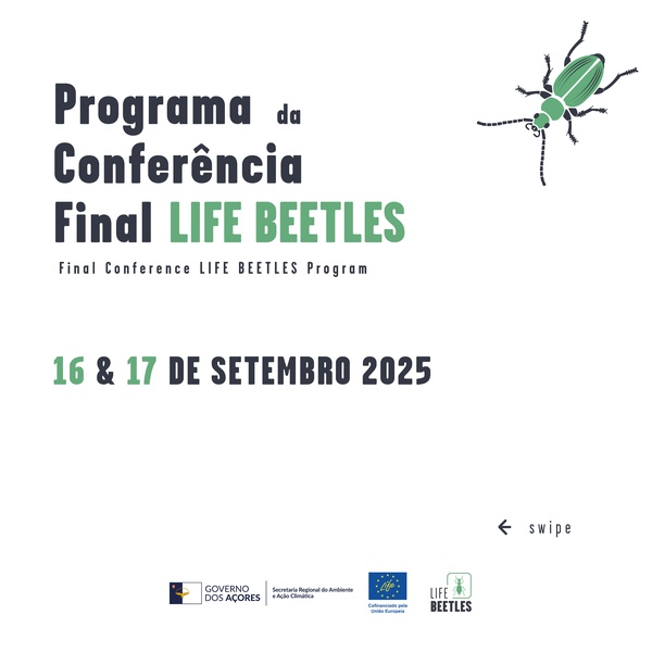 Conferência Final do projeto LIFE BEETLES – conheça o programa completo!