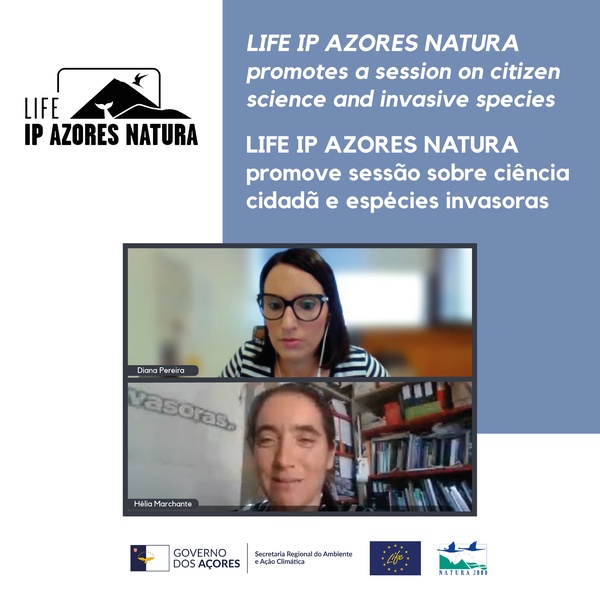 LIFE IP AZORES NATURA promotes an online session on citizen science and invasive species