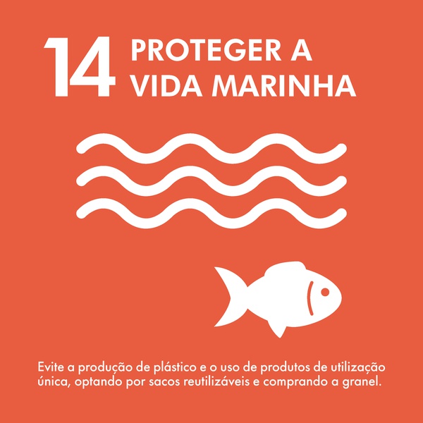 Objetivo 14 – Conservar e usar de forma sustentável os oceanos, mares e os recursos marinhos para o desenvolvimento sustentável