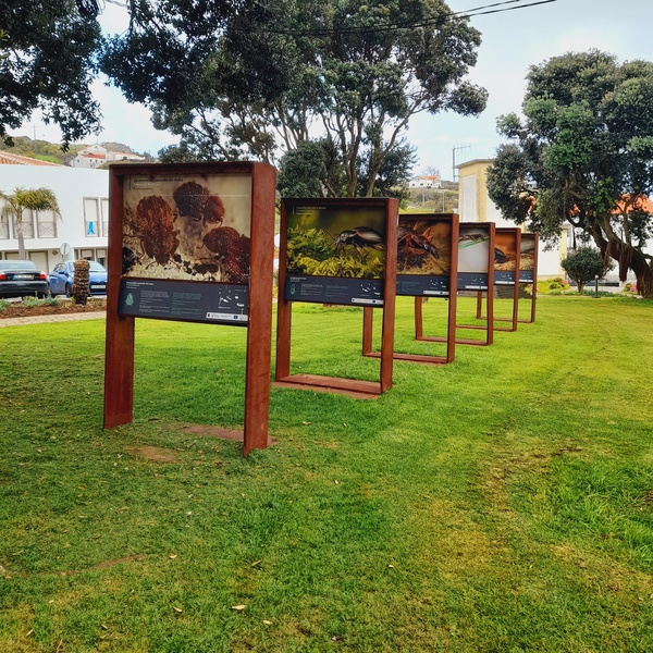 Exposição LIFE BEETLES: Pequenos em Grande instalada na ilha da Flores