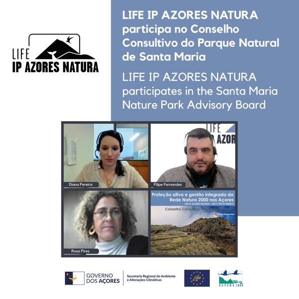 LIFE IP AZORES NATURA updates on its actions in the Santa Maria Nature Park Advisory Board