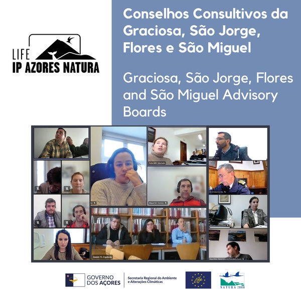 LIFE IP AZORES NATURA participates in the São Miguel, Graciosa, São Jorge and Flores Advisory Boards