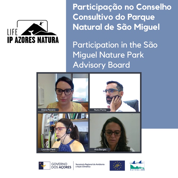 LIFE IP AZORES NATURA participates in the São Miguel Nature Park Advisory Board