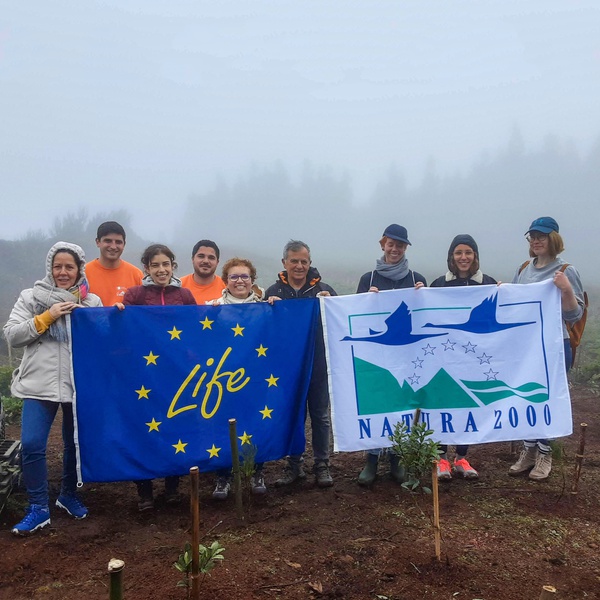 LIFE IP AZORES NATURA promotes planting action at Pico do Carvão, São Miguel