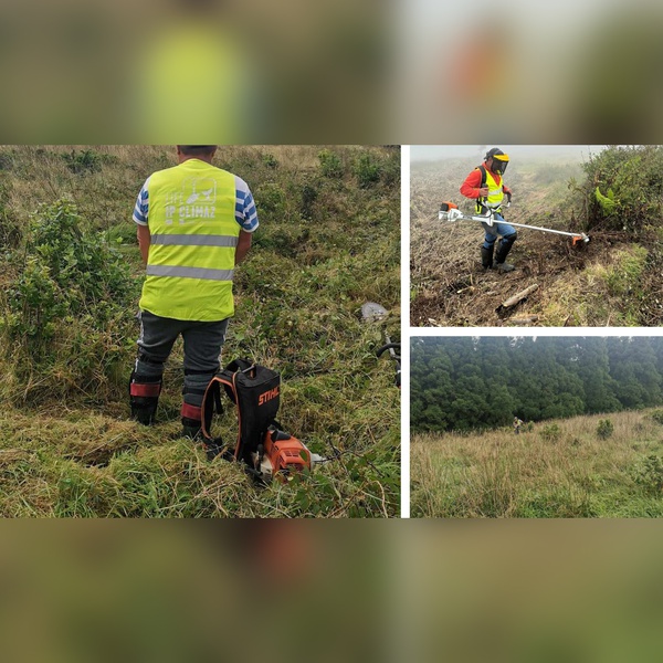 Regional Directorate for Forest Resources begins work on converting barren pastures into native forest within the scope of the LIFE IP CLIMAZ project