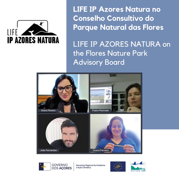LIFE IP AZORES NATURA no Conselho Consultivo do Parque Natural das Flores