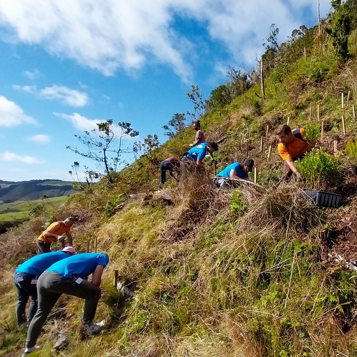 LIFE BEETLES Volunteering Action with the participation of national and international volunteers