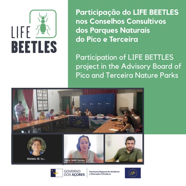 Participação do LIFE BEETLES nos Conselhos Consultivos dos Parques Naturais do Pico e Terceira