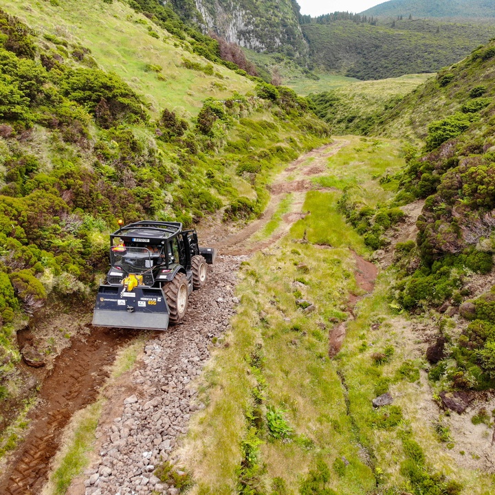 Conservation work on Terceira is progressing at a good pace