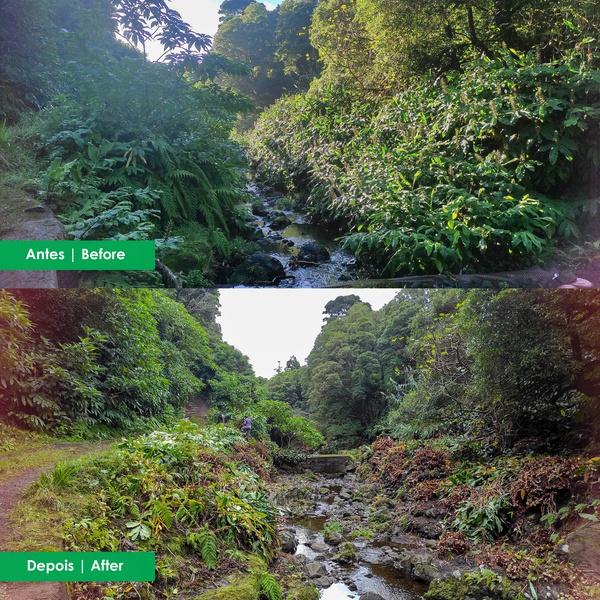 Works on the streams of Lajes das Flores