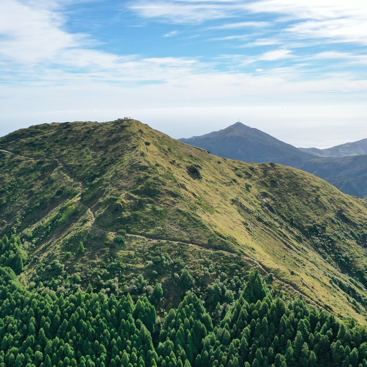 Drones and Virtual Reality (VR) in Promoting Forest Management and Habitat Restoration