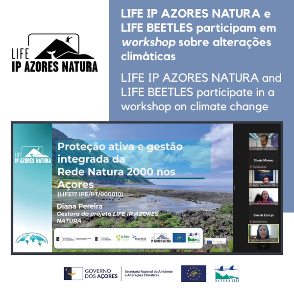 LIFE IP AZORES NATURA e LIFE BEETLES participam em workshop sobre alterações climáticas