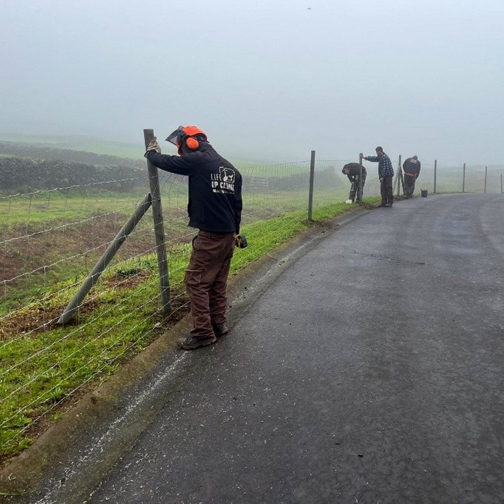 DRAAC dá continuação a trabalhos de recuperação e restauro do leito da Ribeira do Testo na Terceira