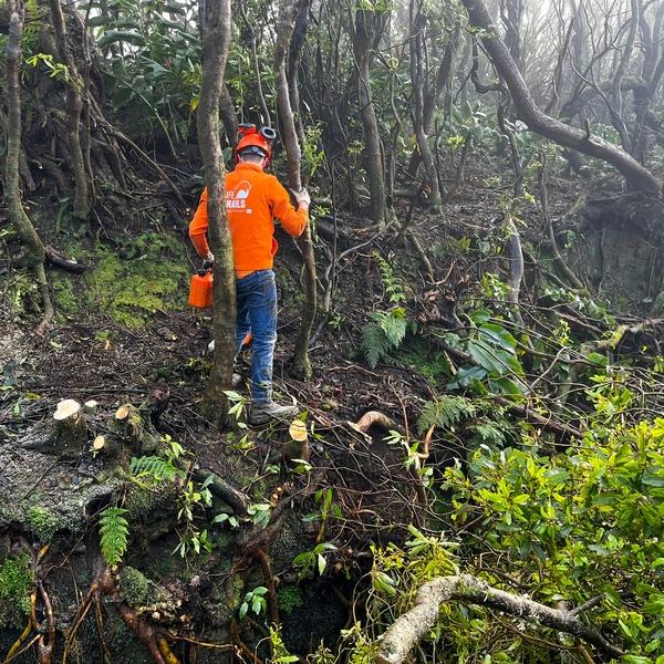 LIFE SNAILS – Equipa operacional no terreno