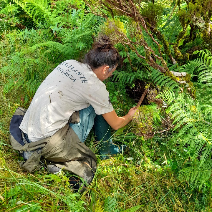 Monitoring the impact of nature conservation actions