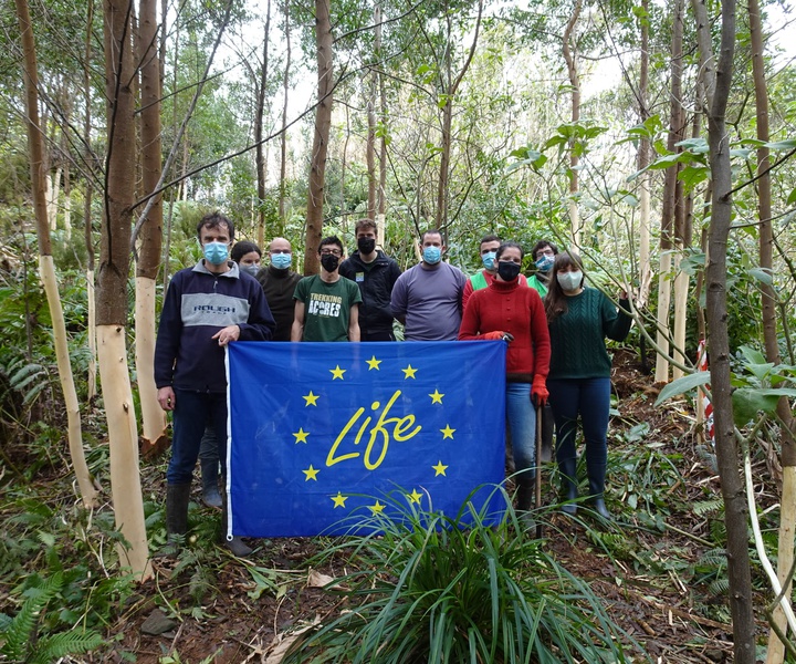 LIFE BEETLES | Volunteering Action