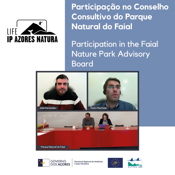 Participação no Conselho Consultivo do Parque Natural do Faial