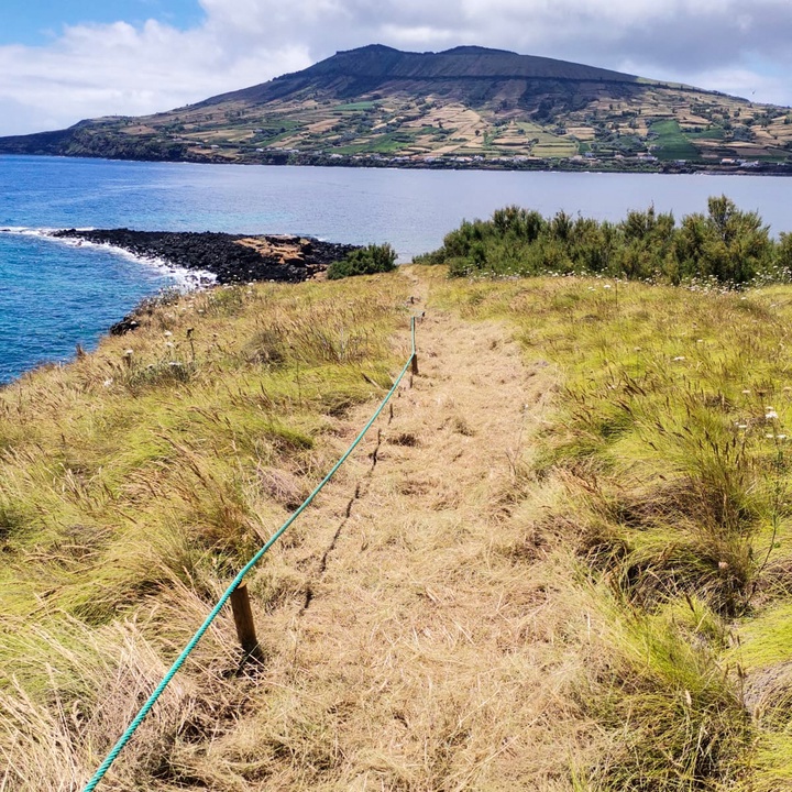 Improvements to the Ilhéu da Praia visitor trail promote conservation and safety
