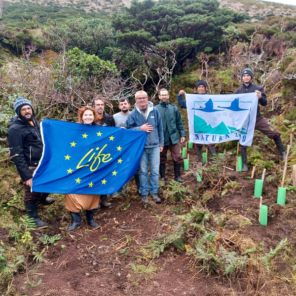 Fieldwork progresses at Caldeira Branca on the island of Flores