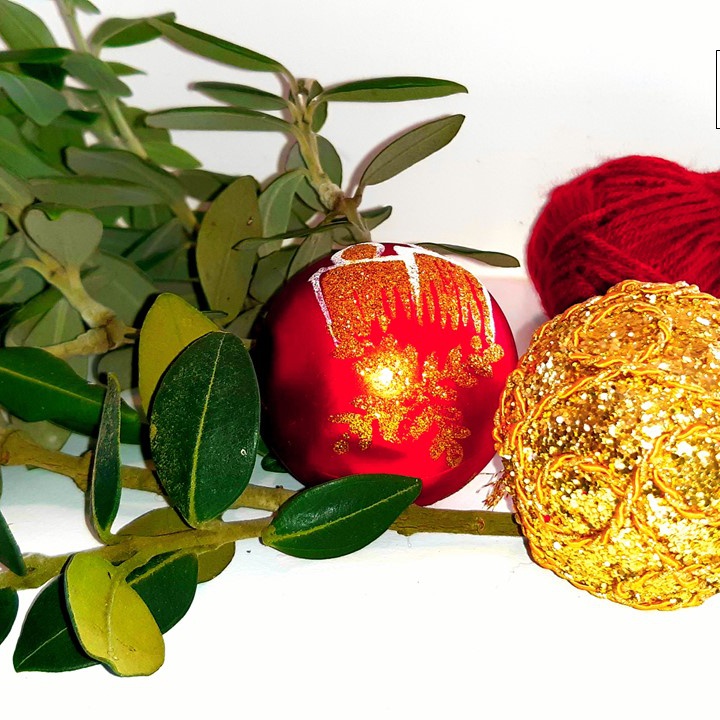 Exotic Christmas: Christmas arrangements with exotic plants