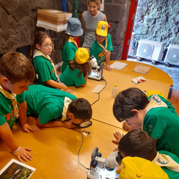 LIFE BEETLES project promotes “Insects à Lupa” activity at Regional Pack Camp