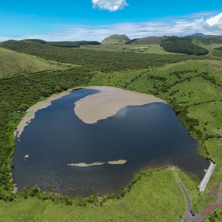 Objetivo de plantação de 10 mil árvores na Lagoa do Caiado superado!