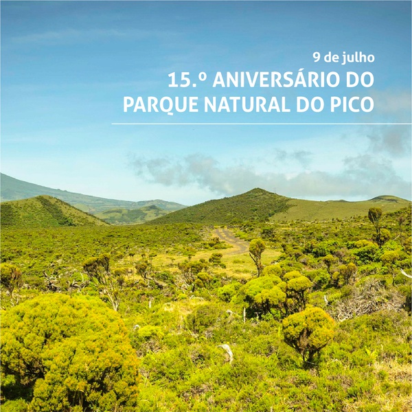 O Parque Natural do Pico celebra o seu 15.º aniversário!