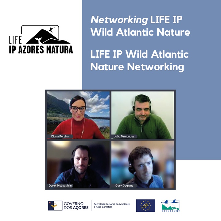 Networking entre os projetos LIFE IP AZORES NATURA e LIFE IP Wild Atlantic Nature