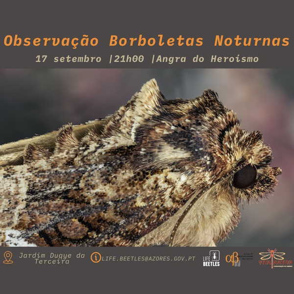 Terceira – Observação de borboletas noturnas com o LIFE BEETLES