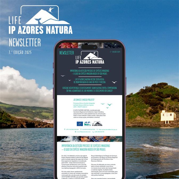 A nova edição da newsletter do LIFE IP AZORES NATURA já se encontra disponível!