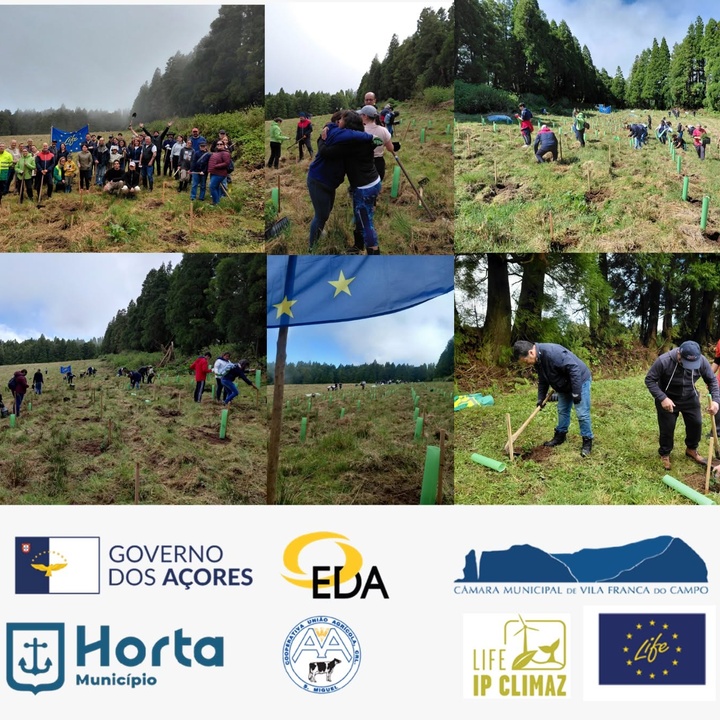LIFE IP CLIMAZ celebra o Dia Mundial da Terra com ação de voluntariado pela floresta nativa