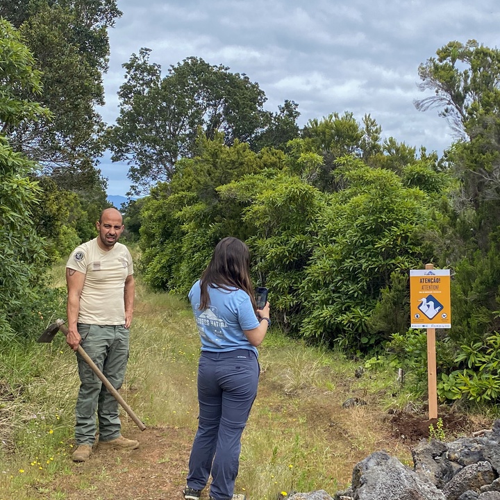 Nova sinalização alerta para zona de nidificação de cagarros no Pico