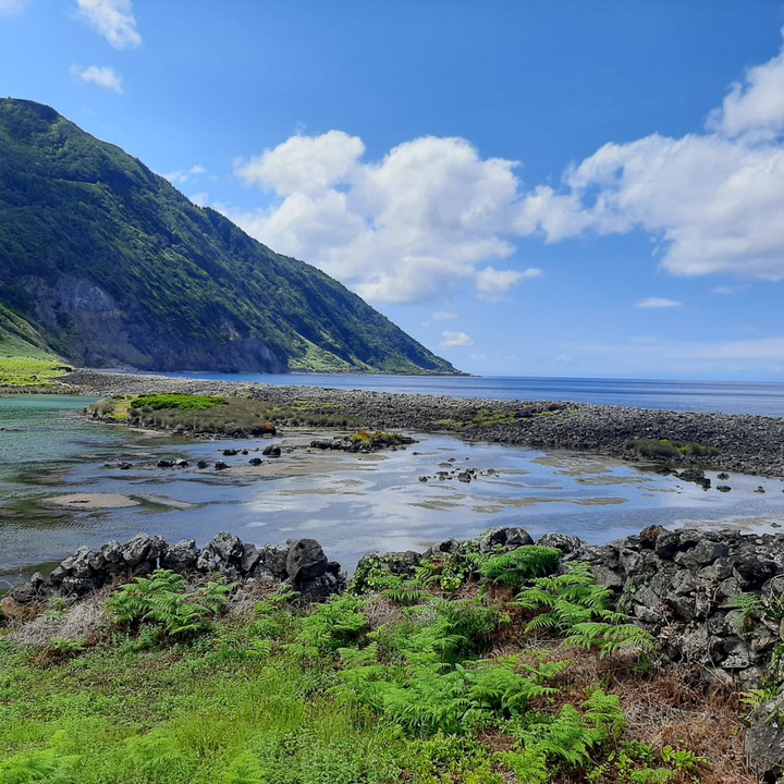 LIFE IP AZORES NATURA marca presença no Conselho Consultivo do Parque Natural de São Jorge