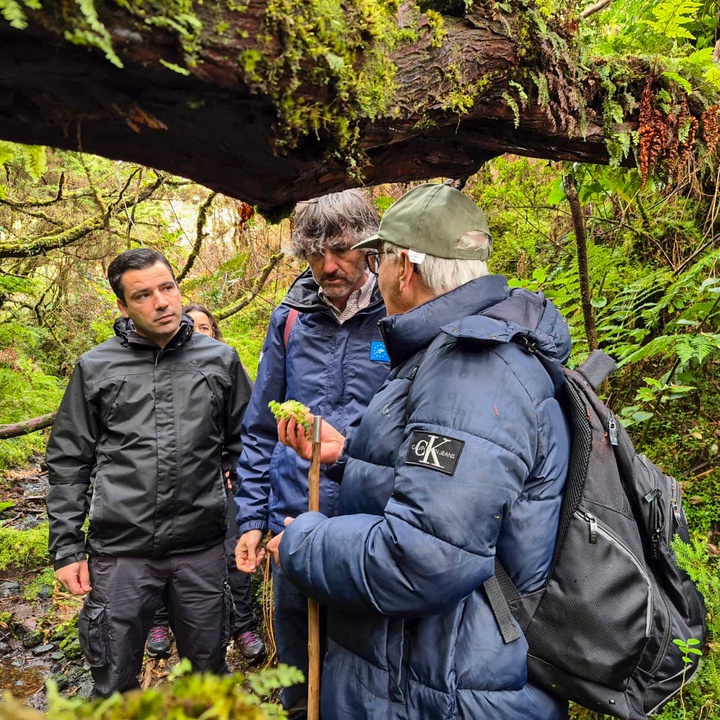 Alonso Miguel visitou áreas de intervenção do Projeto LIFE BEETLES na ilha Terceira