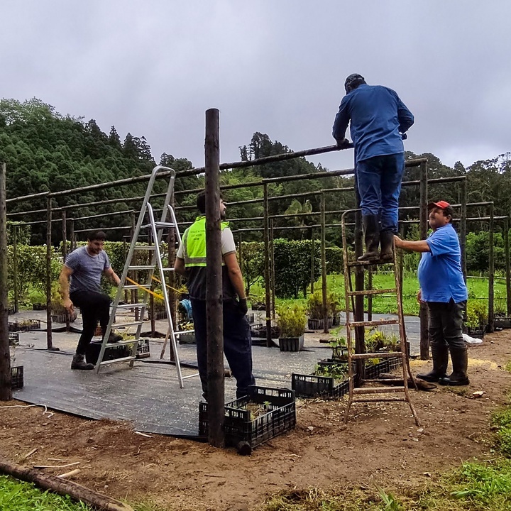 Construção de estufa de sombra no Pomar das Furnas