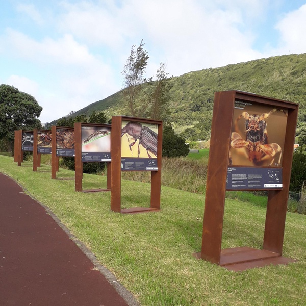 You can still visit the “LIFE BEETLES: Big Little Ones” exhibition in Paul da Praia, Terceira island!