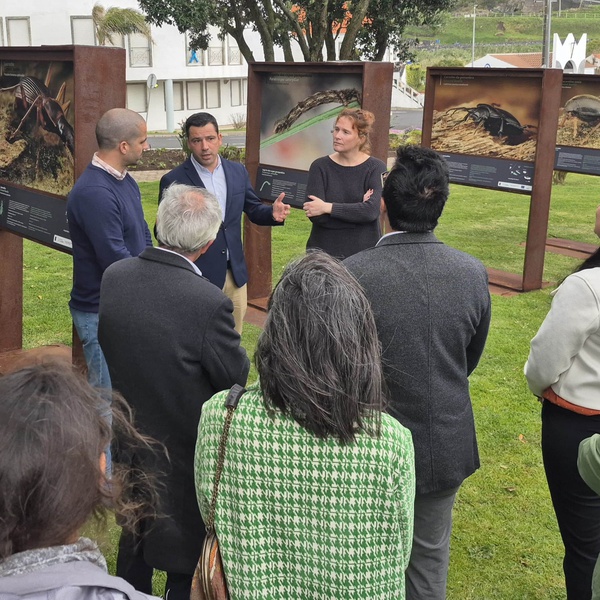 Secretaria Regional do Ambiente e Ação Climática inaugura exposição de macrofotografia de insetos endémicos dos Açores