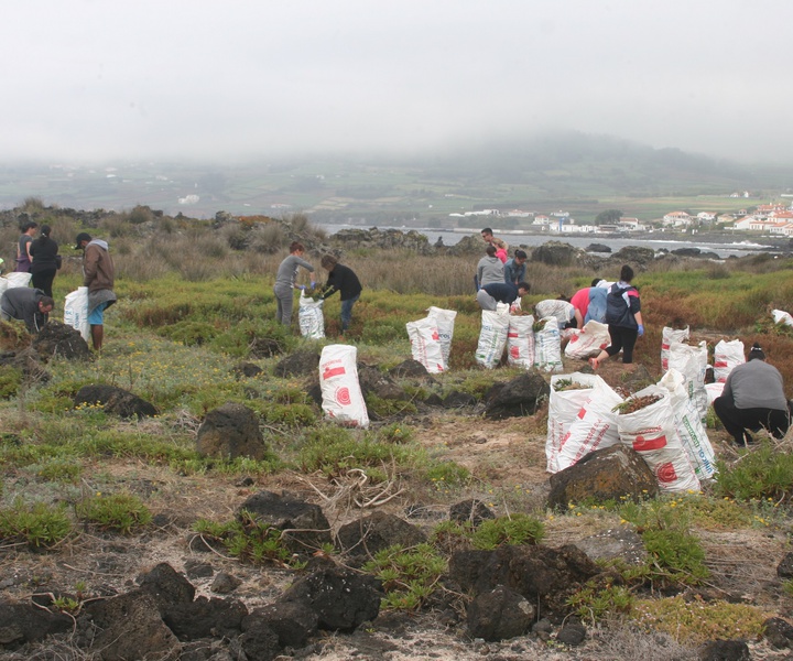 Terceira Nature Park - Ecoteca: Let's roll up our sleeves!