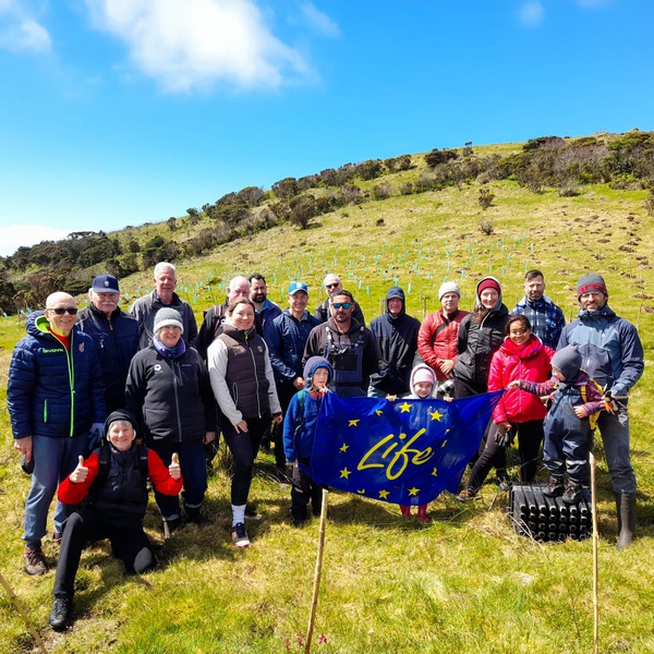 Group of foreign residents on the island of Pico contributes to the re-naturalisation of Lagoa do Caiado