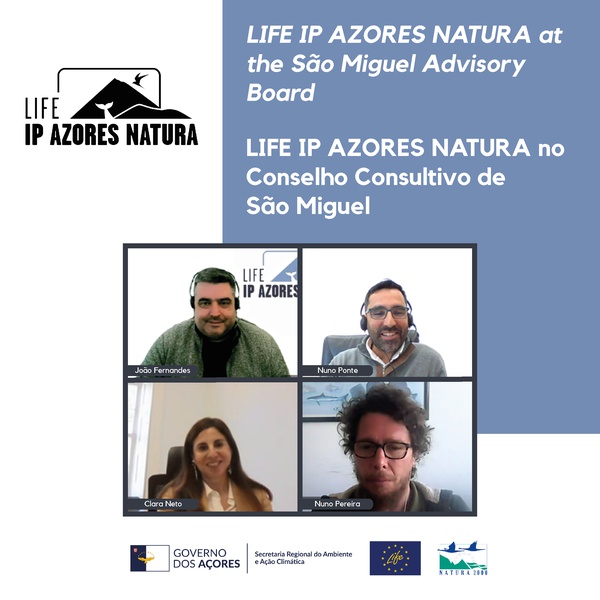 LIFE IP AZORES NATURA marca presença no Conselho Consultivo de São Miguel