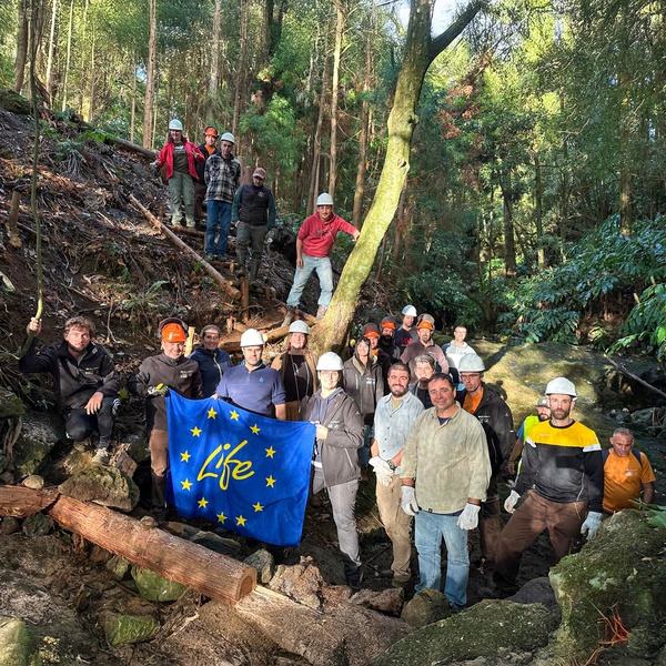 LIFE IP CLIMAZ capacita trabalhadores para Técnicas de Engenharia Natural em Contexto Insular para reabilitação e restauro de Ecossistemas