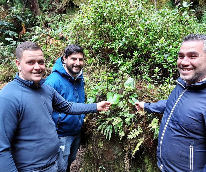 LIFE IP AZORES NATURA | Presentation of the São Miguel operational team