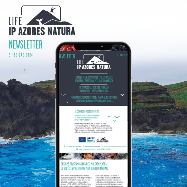 A nova edição da newsletter do LIFE IP AZORES NATURA já se encontra disponível!